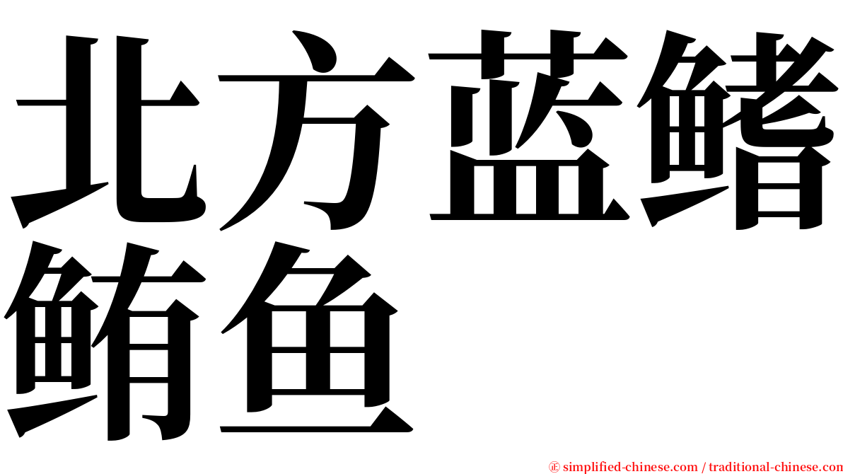 北方蓝鳍鲔鱼 serif font