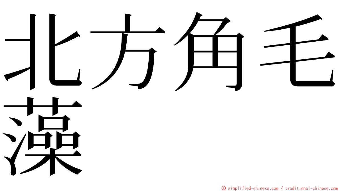 北方角毛藻 ming font