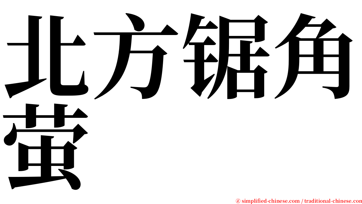 北方锯角萤 serif font