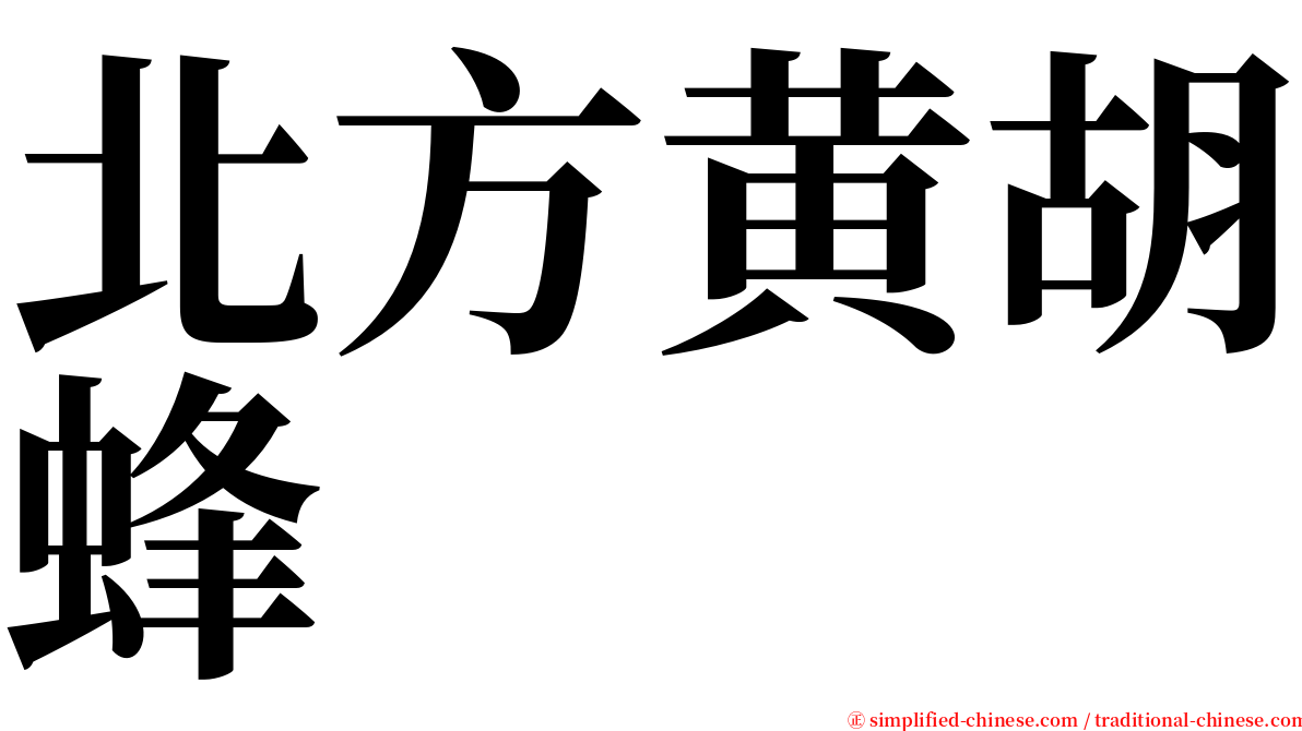 北方黄胡蜂 serif font