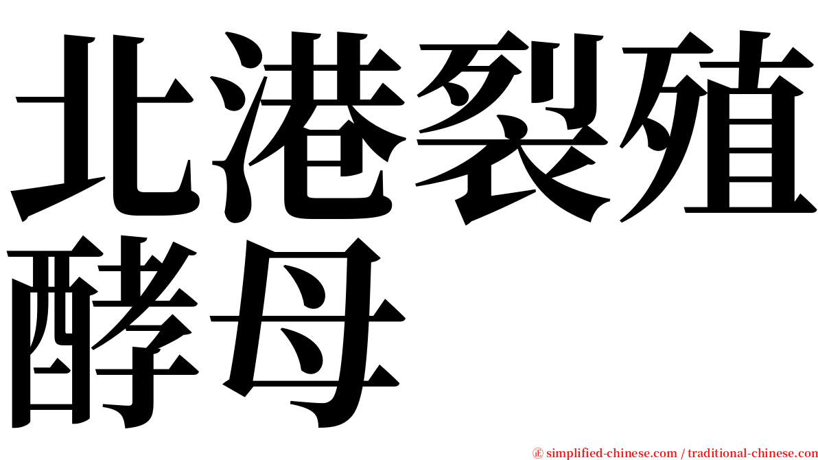 北港裂殖酵母 serif font