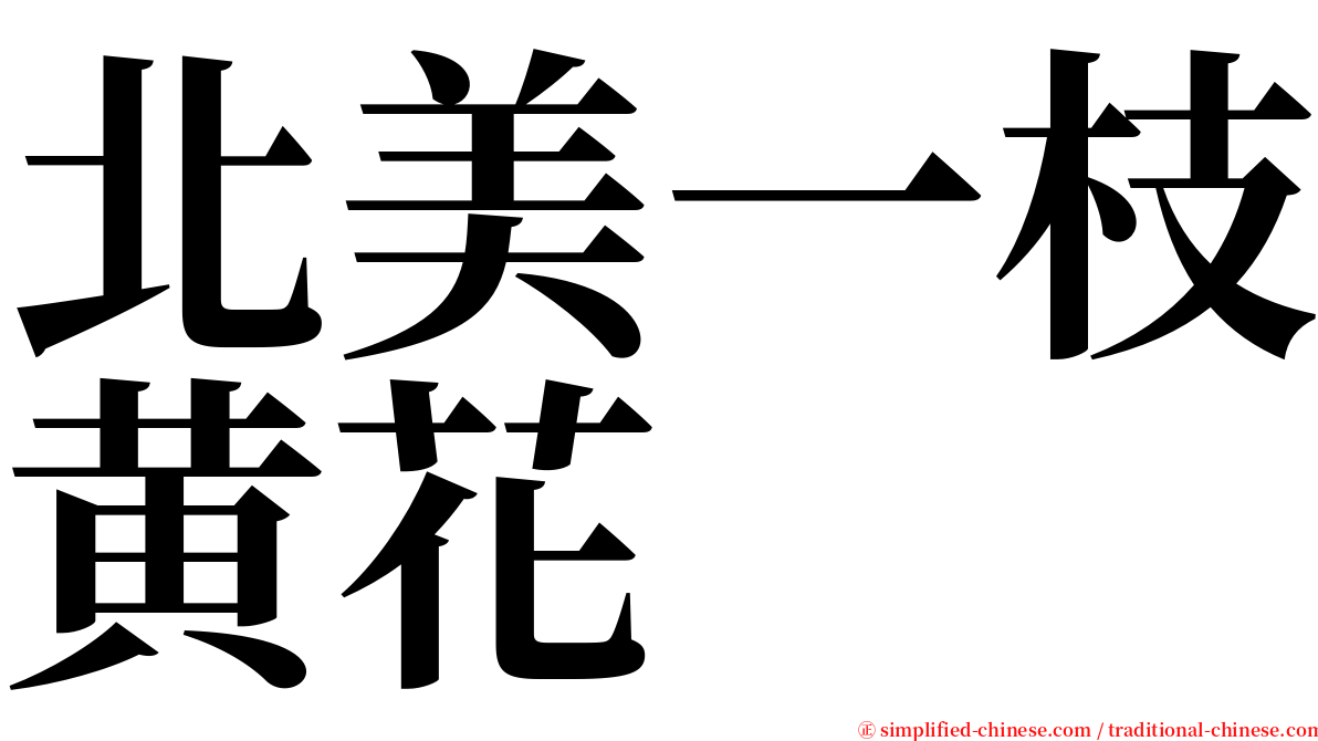 北美一枝黄花 serif font