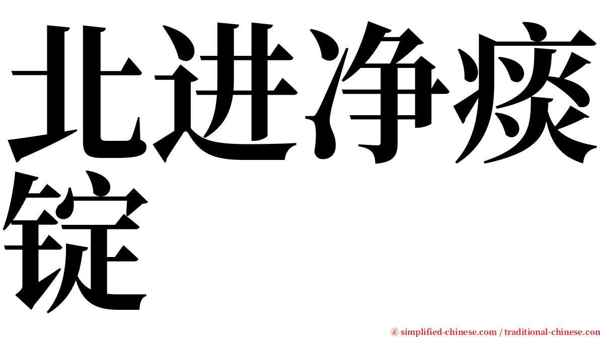 北进净痰锭 serif font