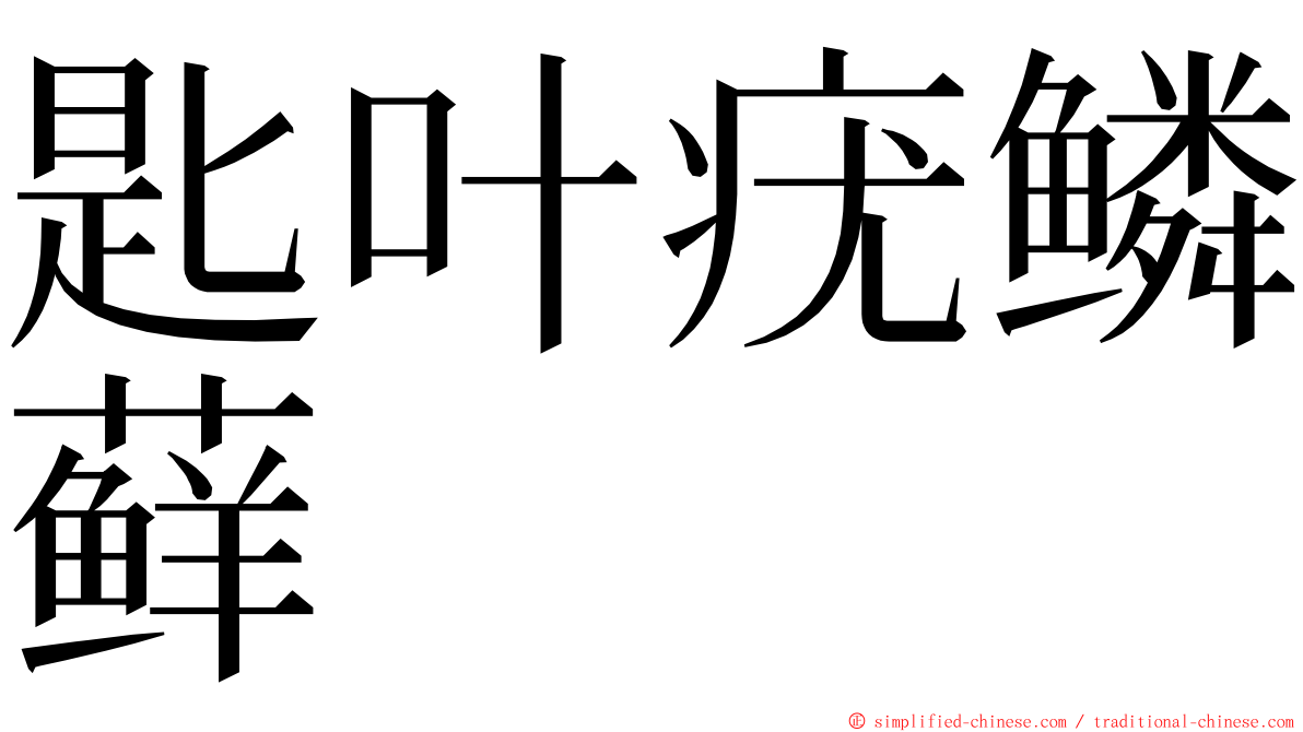 匙叶疣鳞藓 ming font