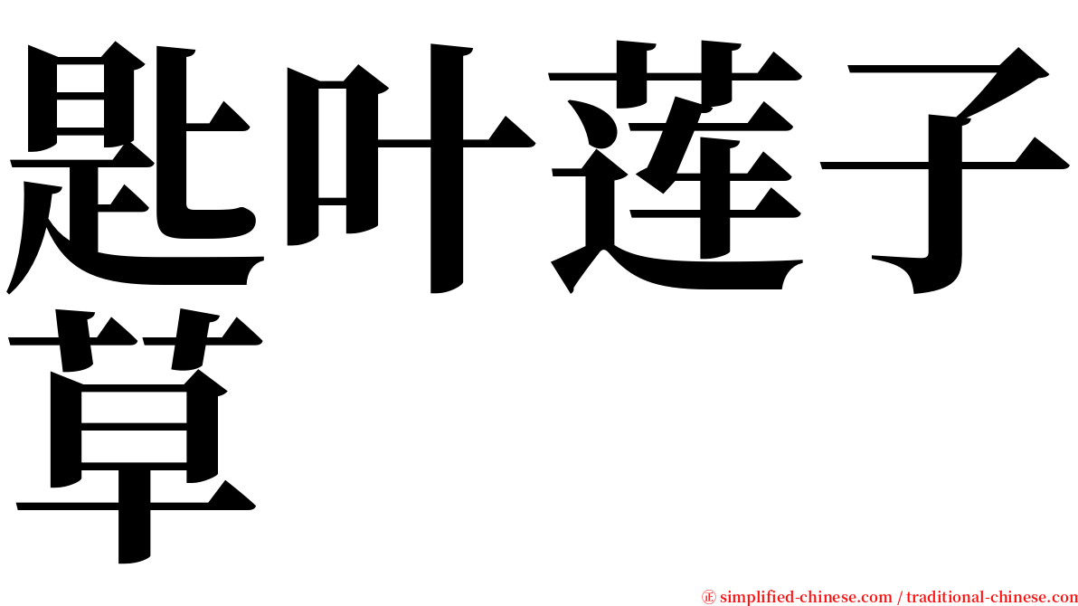 匙叶莲子草 serif font