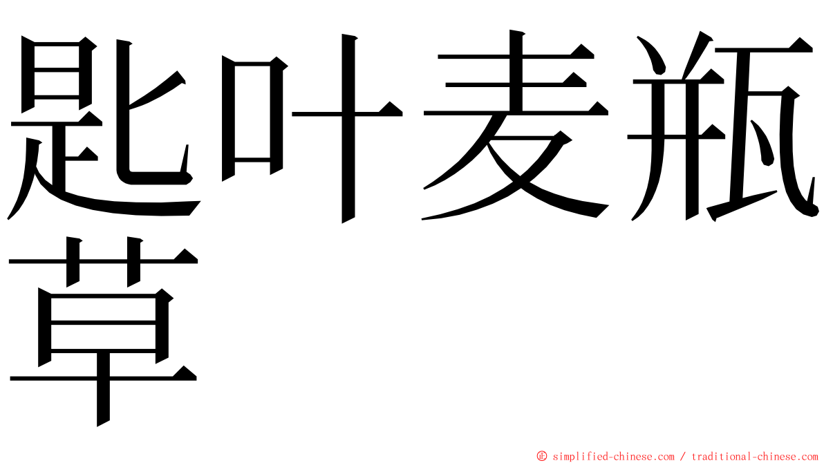 匙叶麦瓶草 ming font