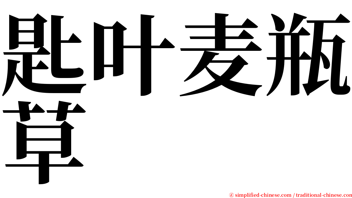 匙叶麦瓶草 serif font