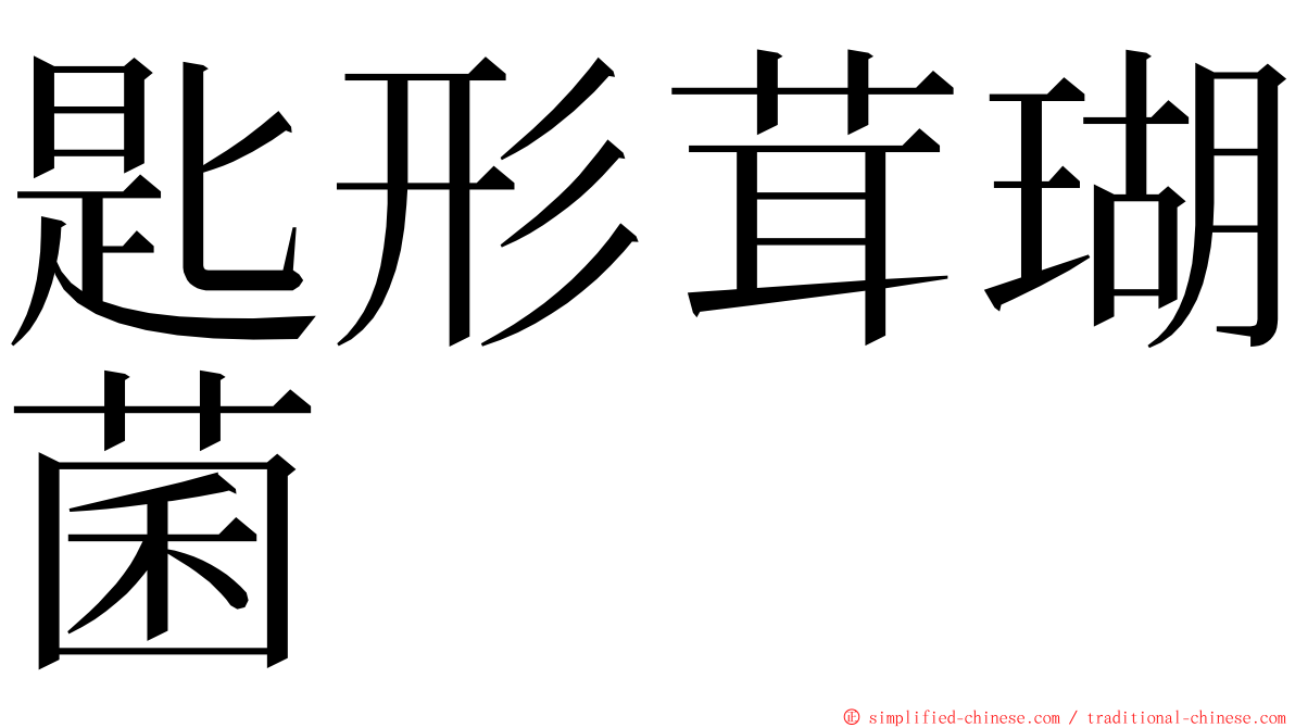 匙形茸瑚菌 ming font