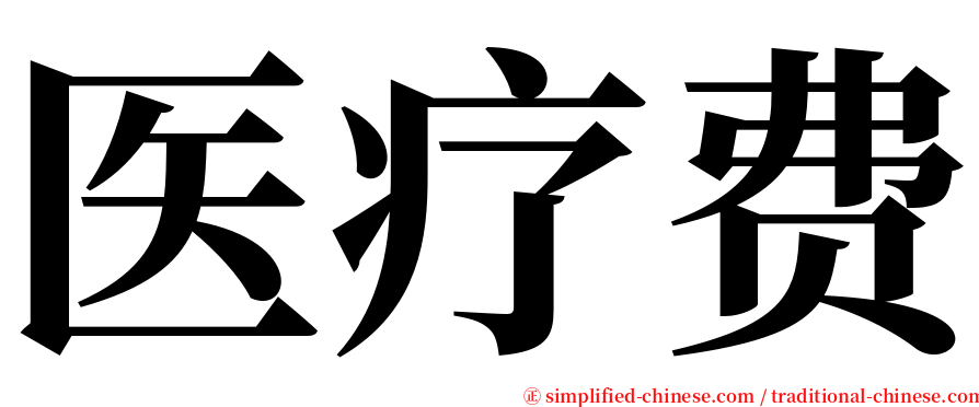 医疗费 serif font