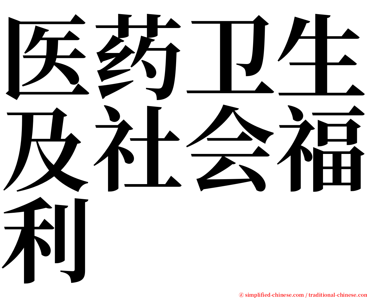 医药卫生及社会福利 serif font