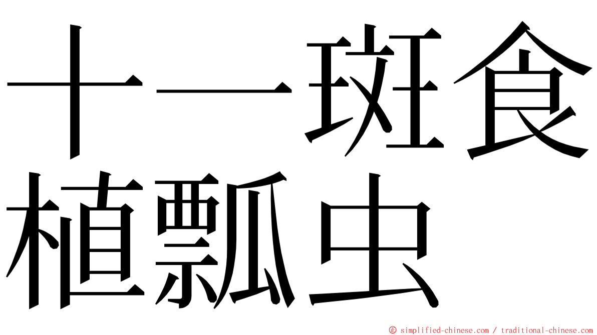 十一斑食植瓢虫 ming font