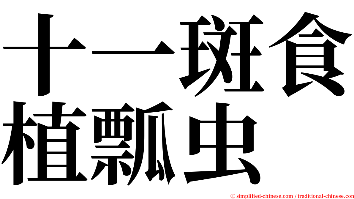 十一斑食植瓢虫 serif font