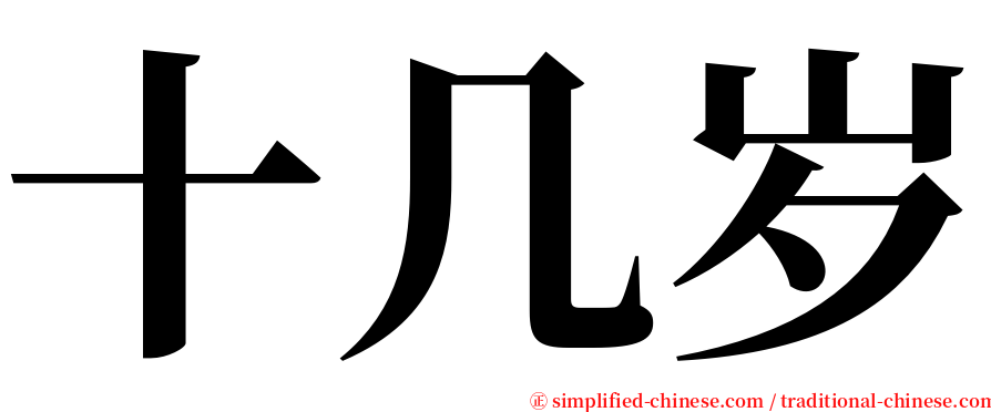 十几岁 serif font