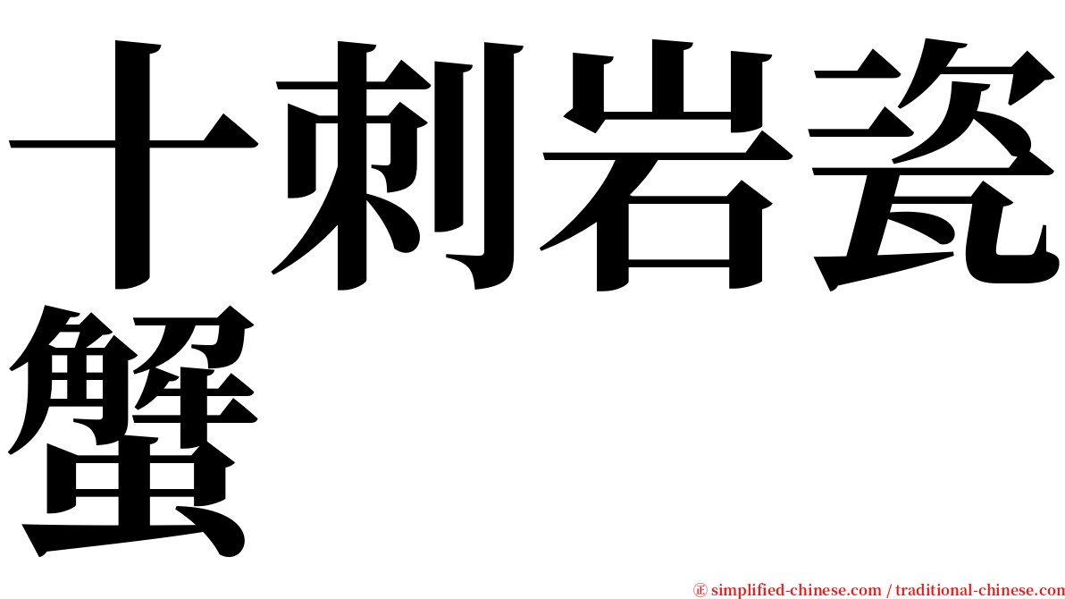 十刺岩瓷蟹 serif font