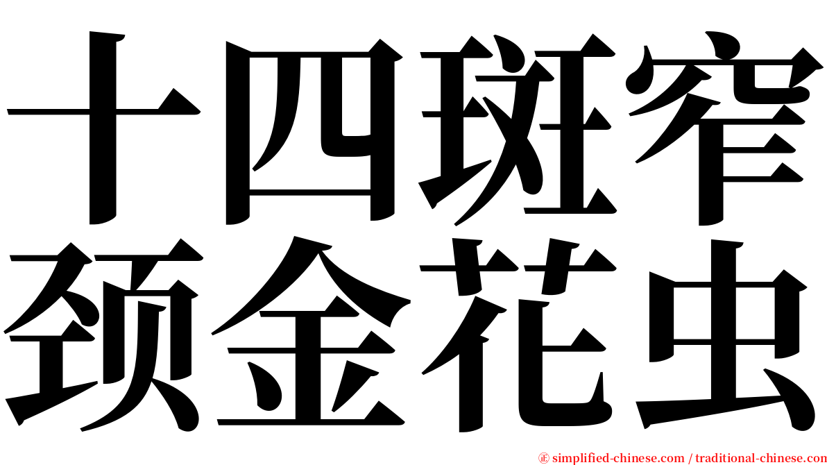 十四斑窄颈金花虫 serif font