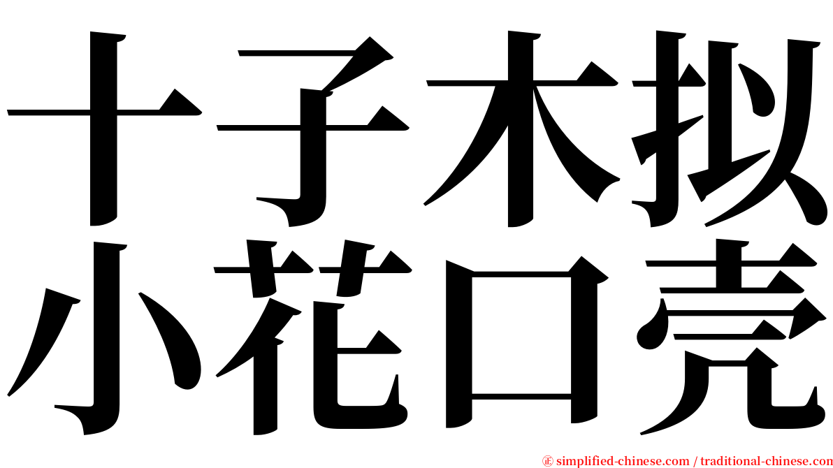 十子木拟小花口壳 serif font