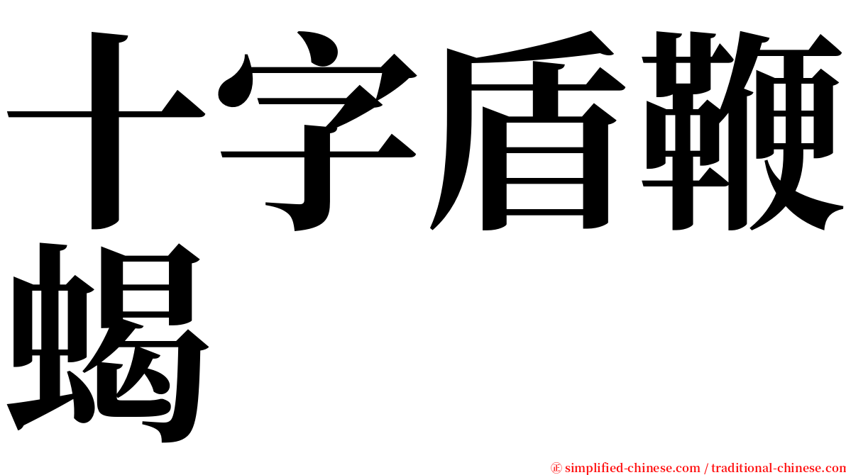 十字盾鞭蝎 serif font