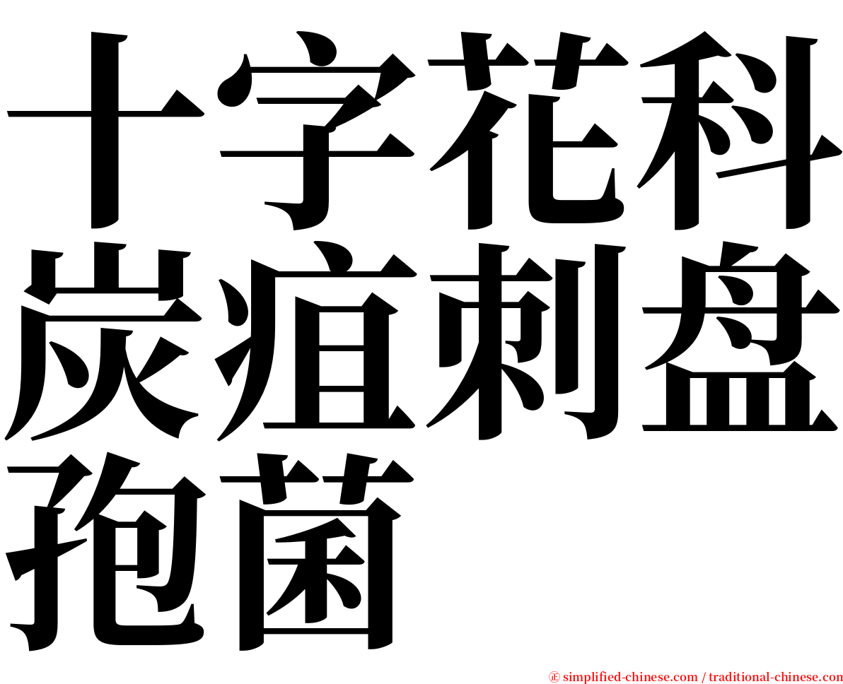 十字花科炭疽刺盘孢菌 serif font