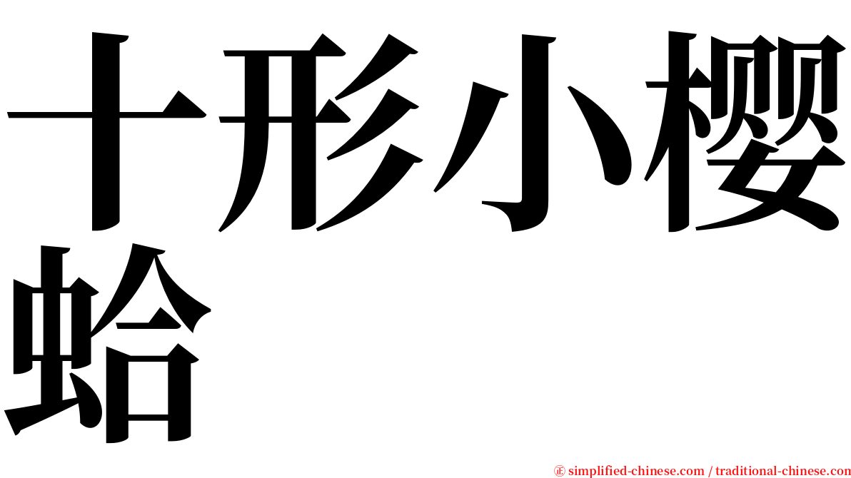 十形小樱蛤 serif font