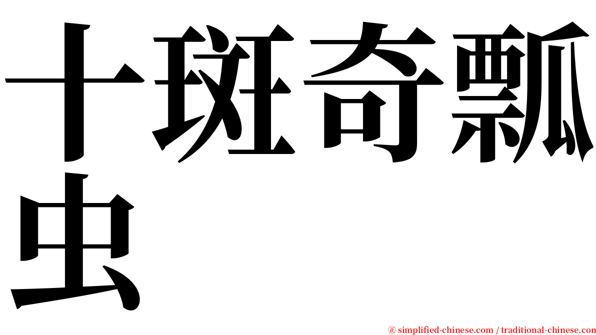 十斑奇瓢虫 serif font