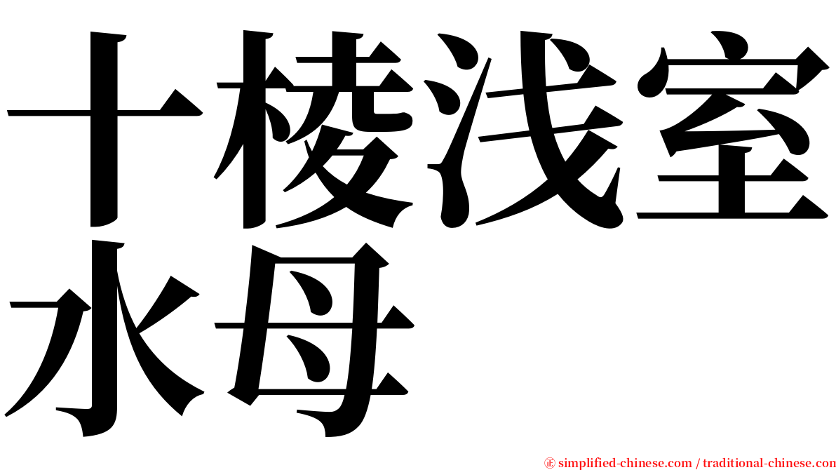 十棱浅室水母 serif font