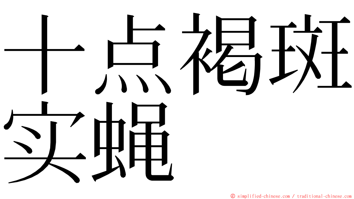 十点褐斑实蝇 ming font