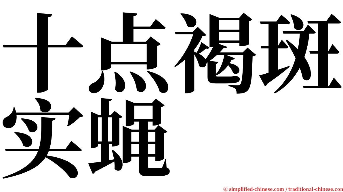 十点褐斑实蝇 serif font