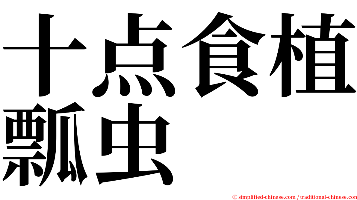 十点食植瓢虫 serif font