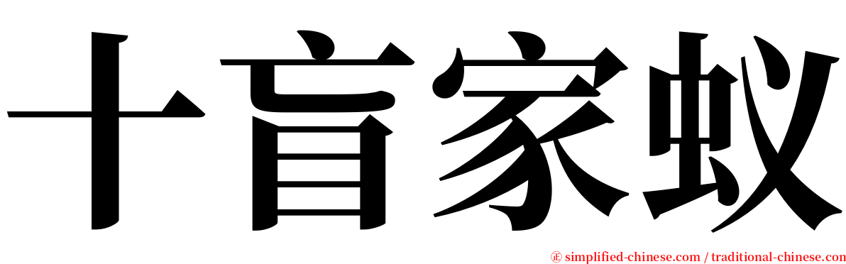 十盲家蚁 serif font