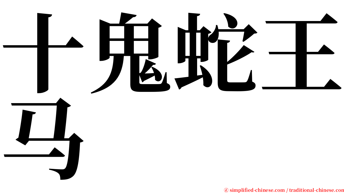 十鬼蛇王马 serif font