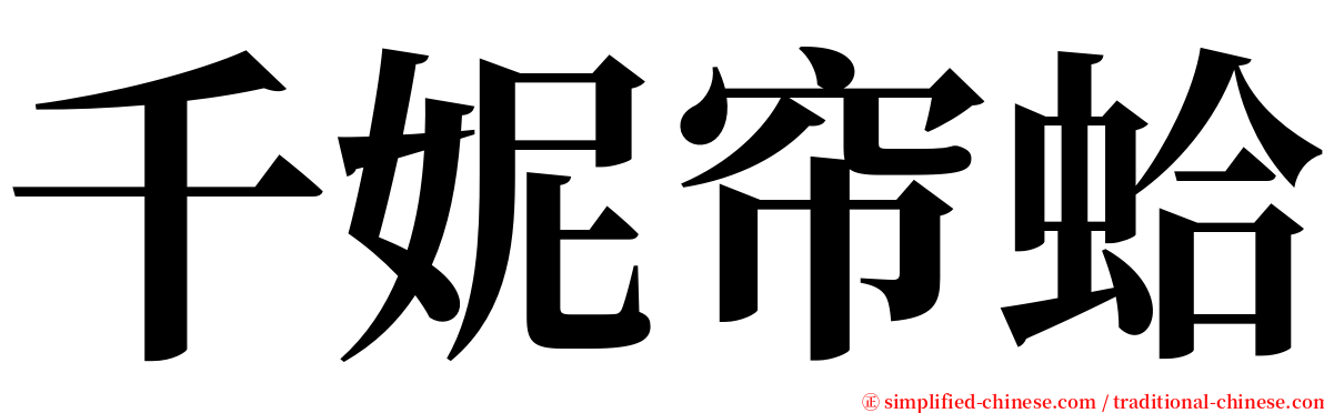 千妮帘蛤 serif font