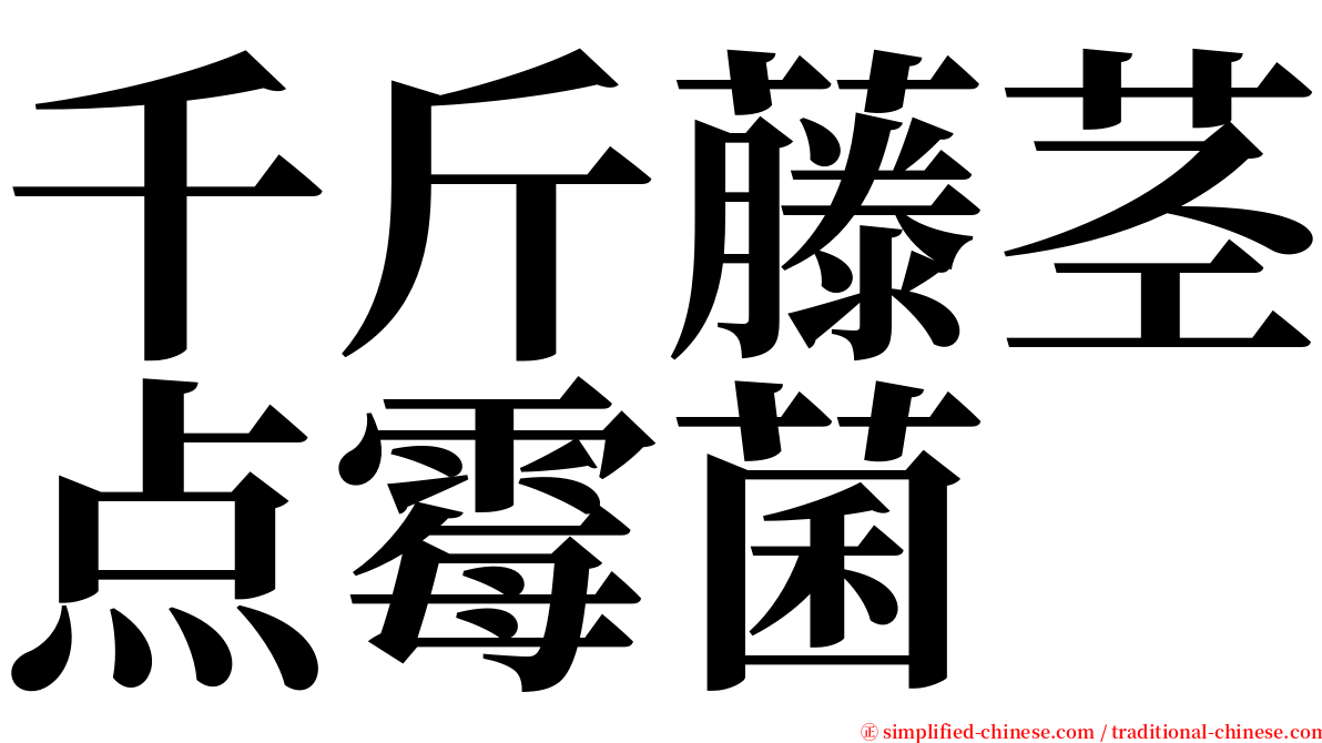 千斤藤茎点霉菌 serif font