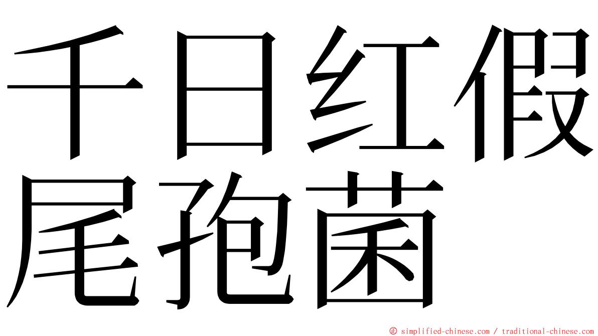 千日红假尾孢菌 ming font