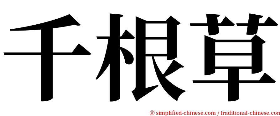 千根草 serif font