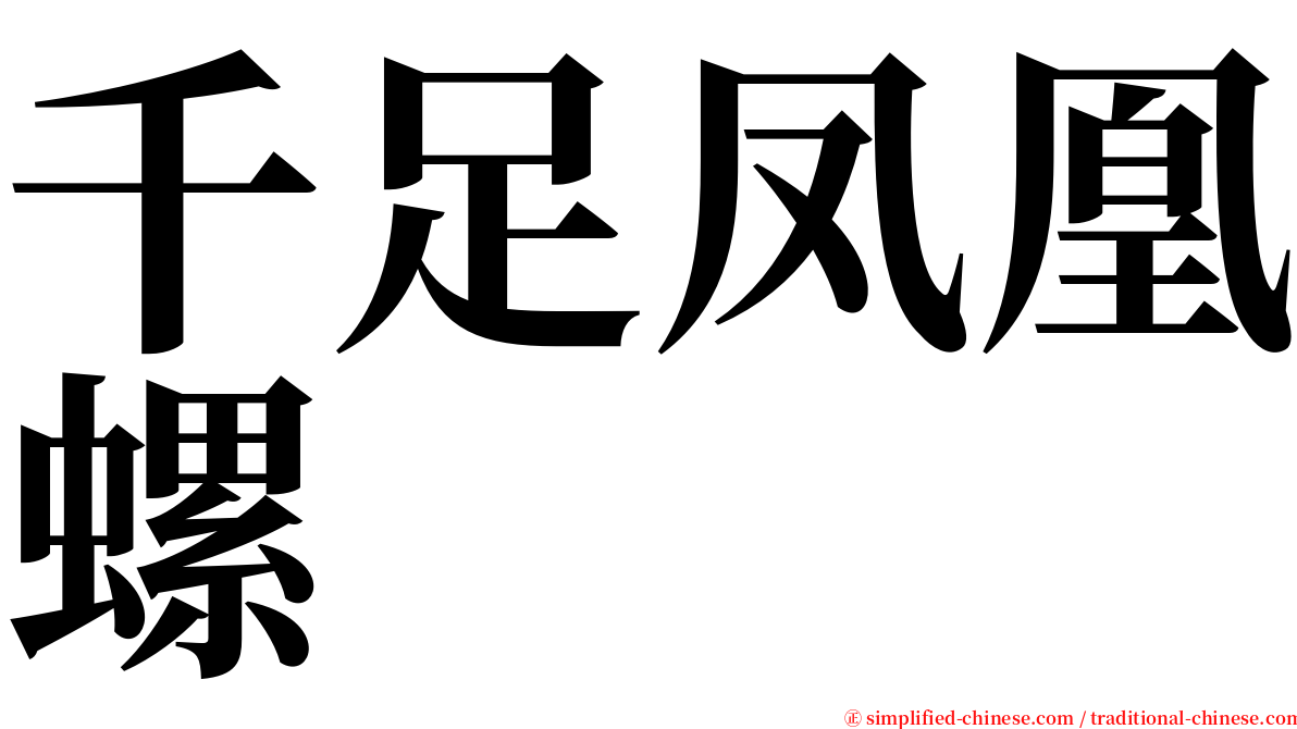 千足凤凰螺 serif font