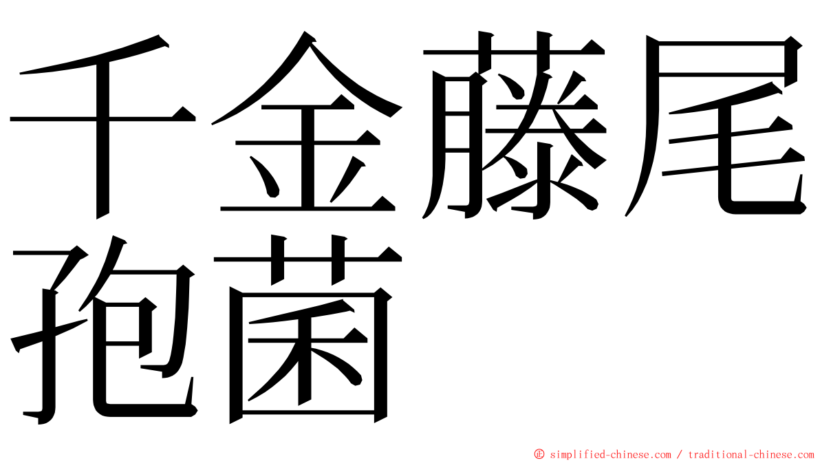 千金藤尾孢菌 ming font