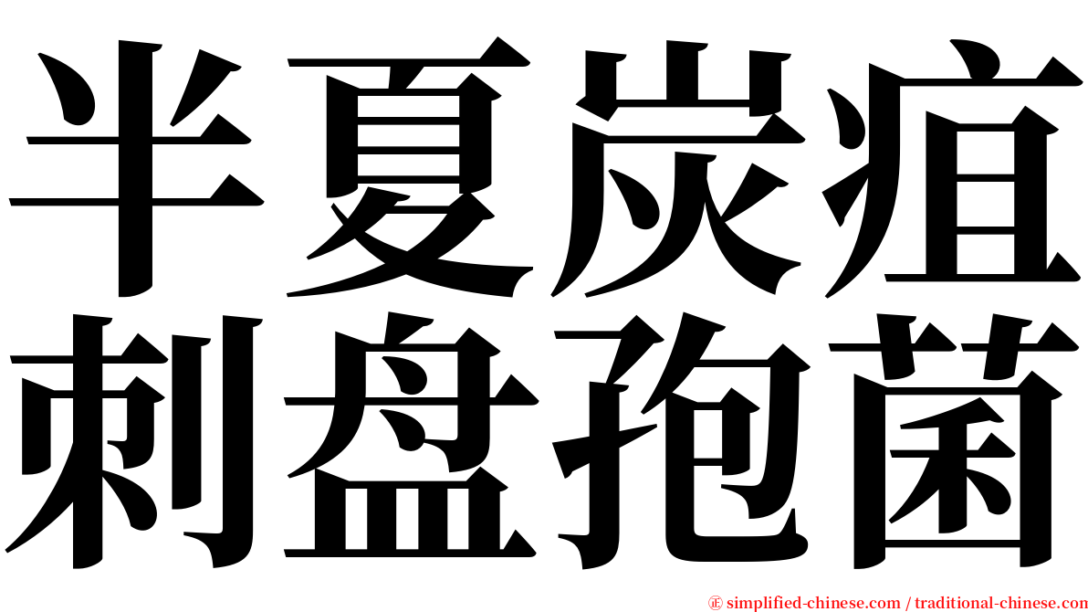 半夏炭疽刺盘孢菌 serif font