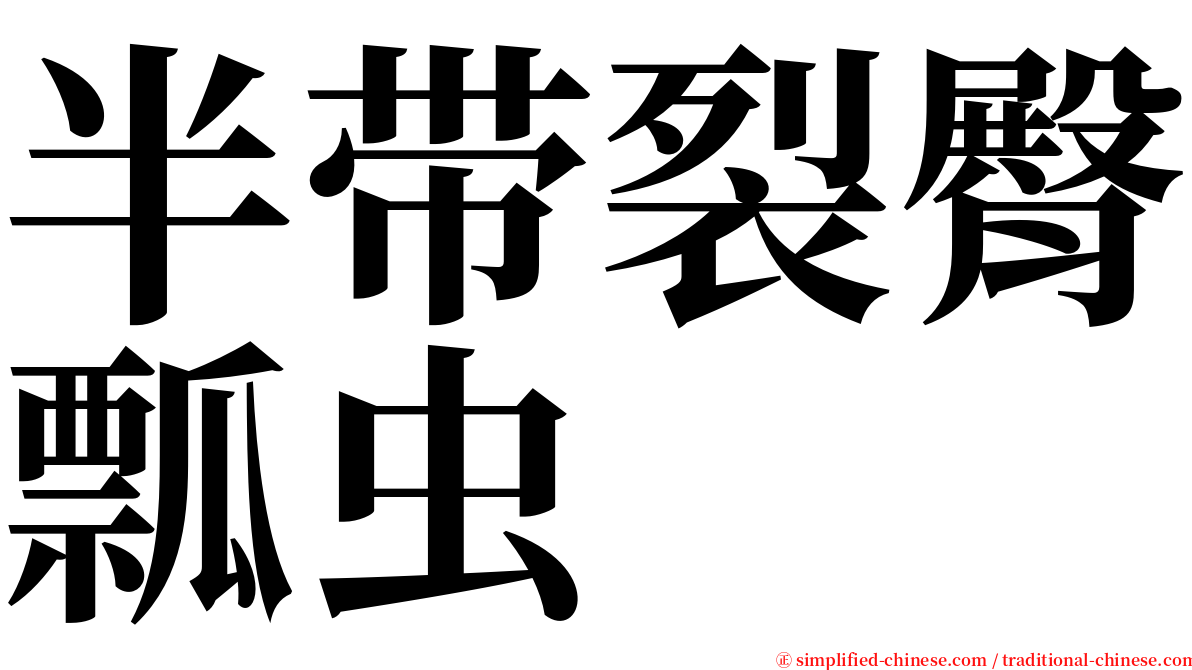 半带裂臀瓢虫 serif font