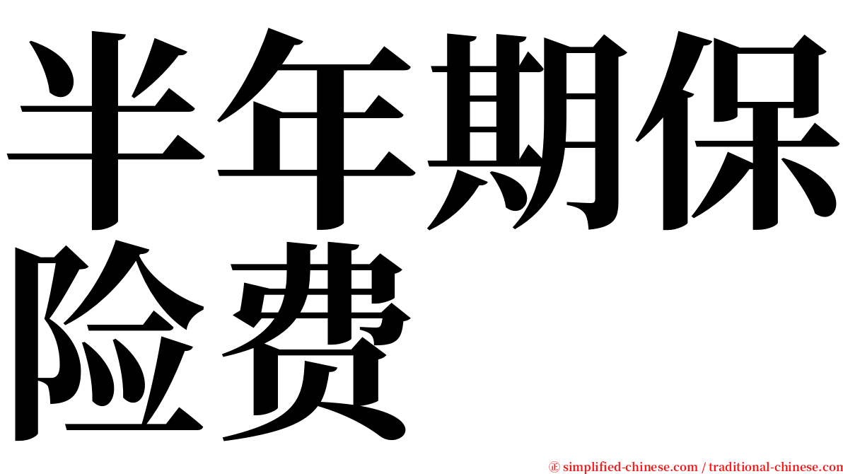 半年期保险费 serif font