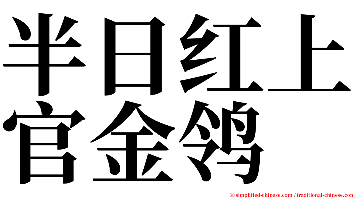 半日红上官金鸰 serif font