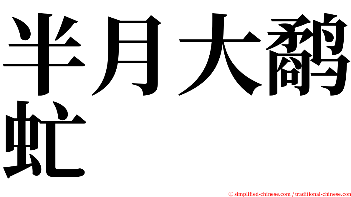 半月大鹬虻 serif font