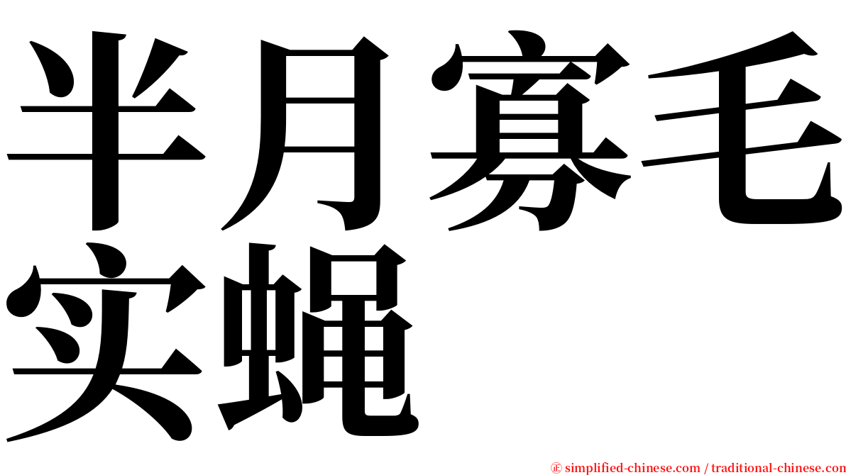 半月寡毛实蝇 serif font