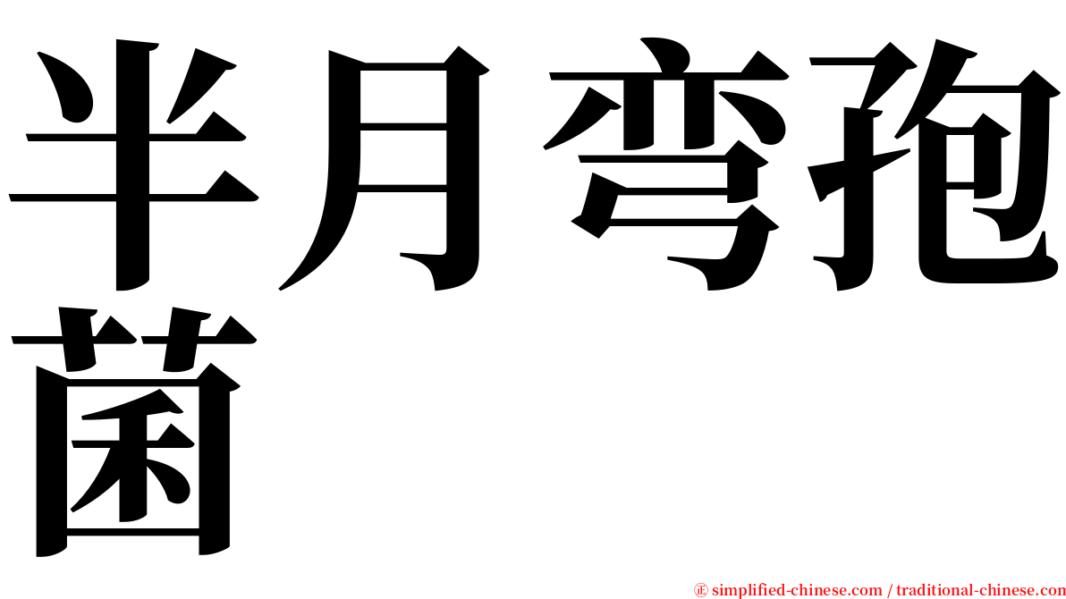 半月弯孢菌 serif font