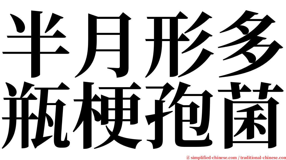 半月形多瓶梗孢菌 serif font