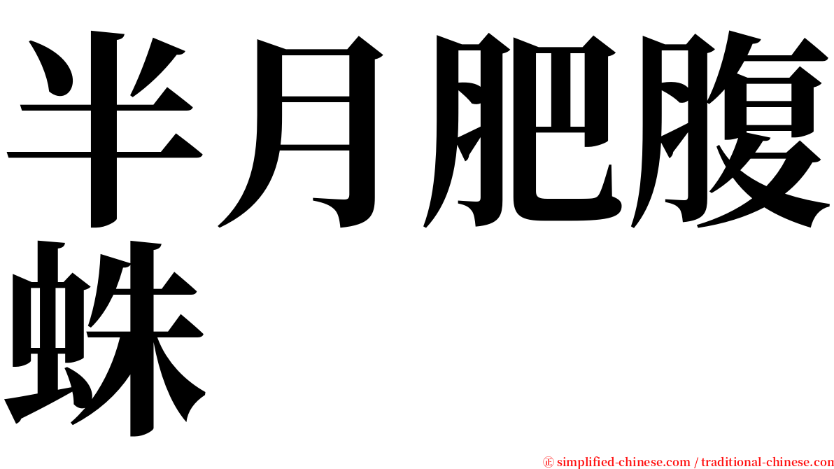 半月肥腹蛛 serif font