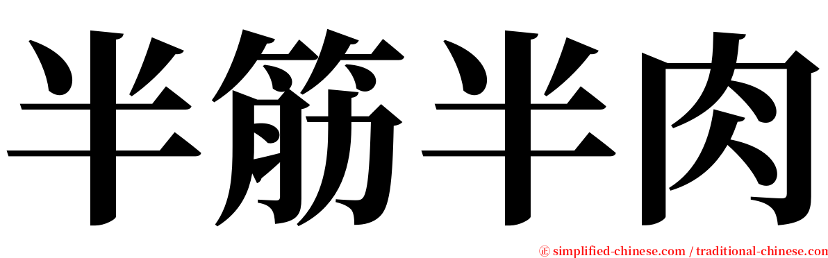 半筋半肉 serif font