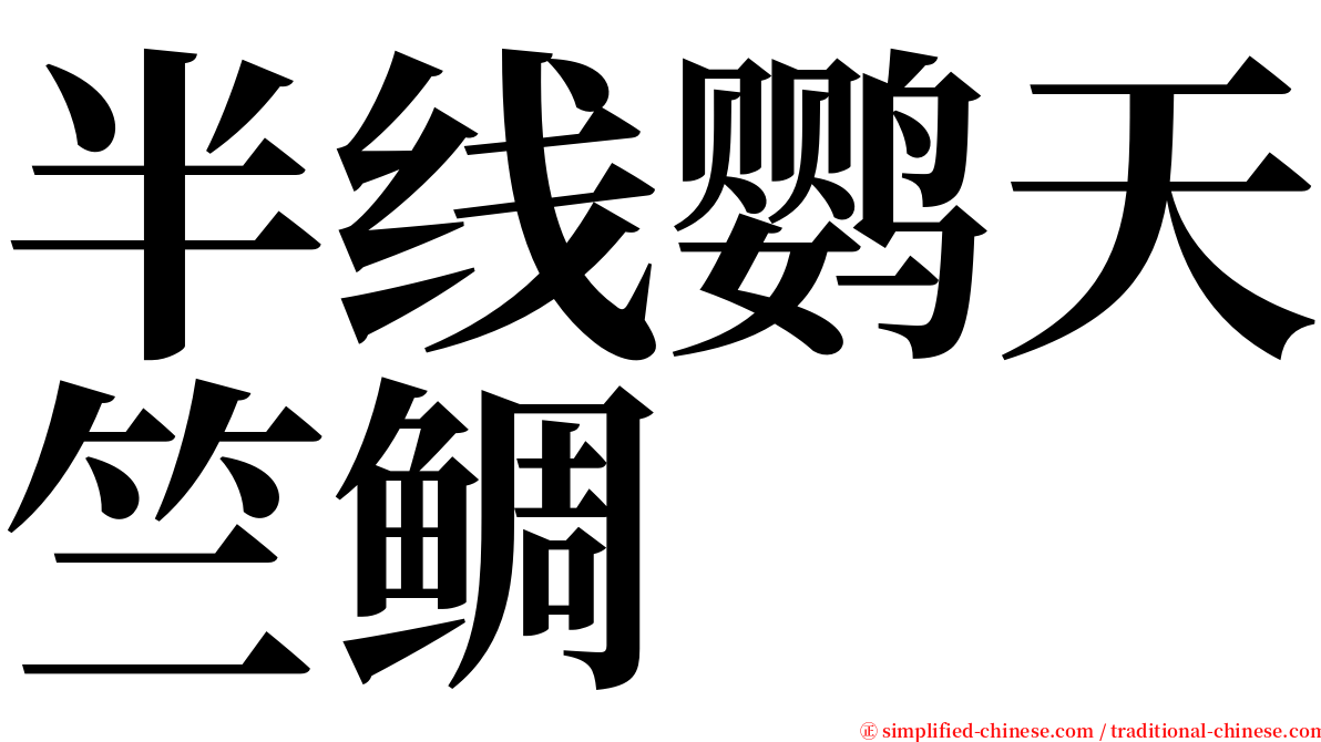 半线鹦天竺鲷 serif font