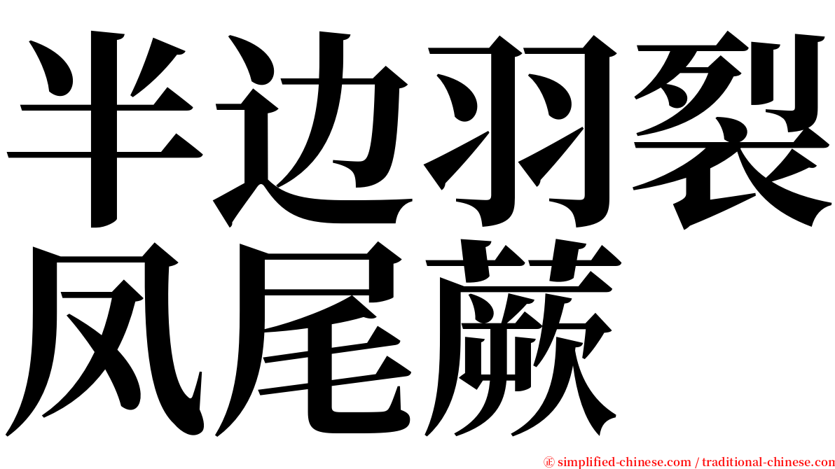 半边羽裂凤尾蕨 serif font