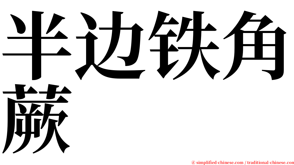 半边铁角蕨 serif font