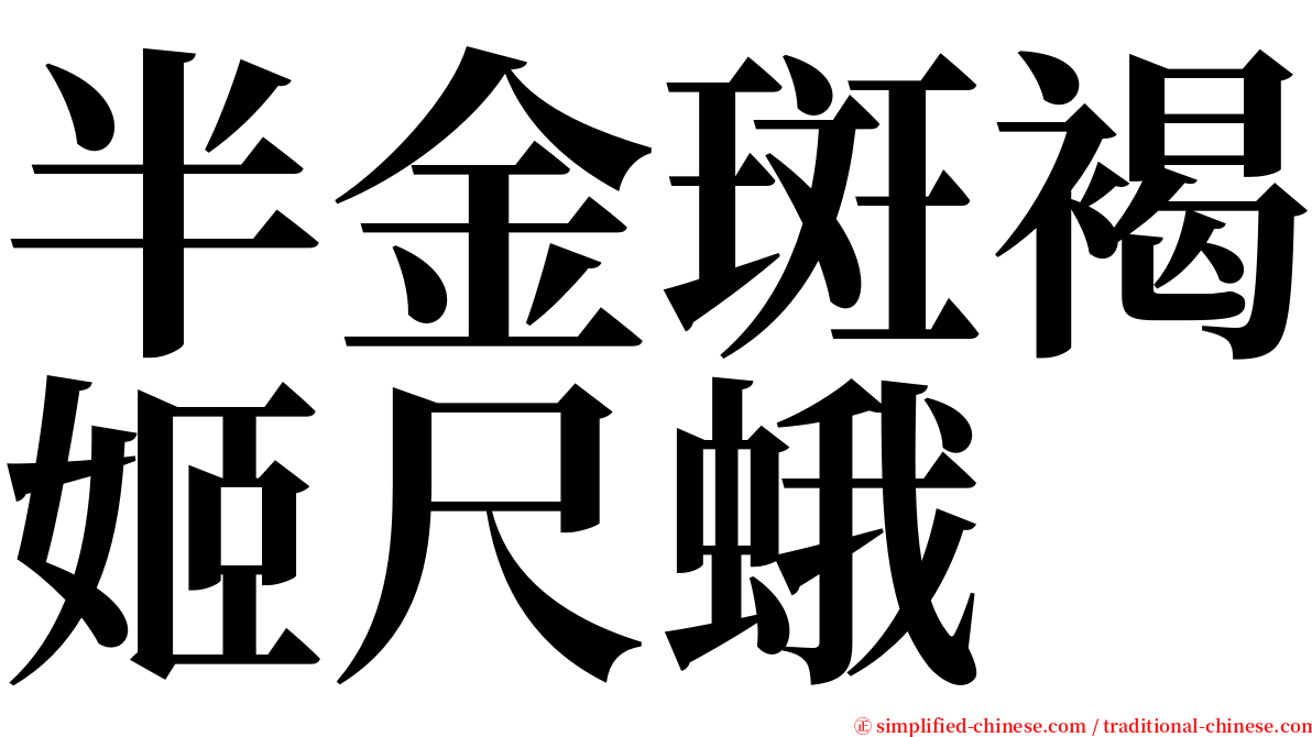 半金斑褐姬尺蛾 serif font